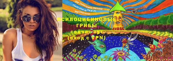 spice Михайловка