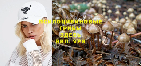 эйфоретик Михайлов